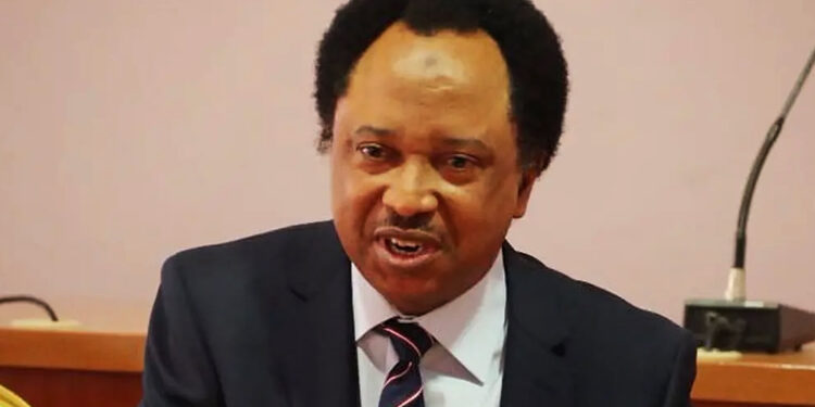 Buhari: Shehu Sani warns of plot to unseat Tinubu in 2027